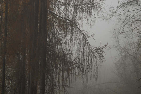 Facen di Pedavena, Santa Susanna