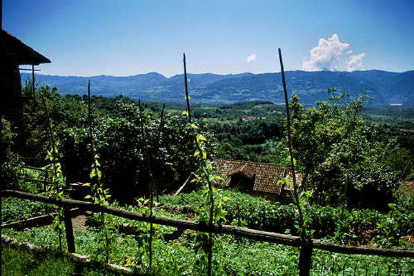 Montagne - sullo sfondo il Sass de Mura