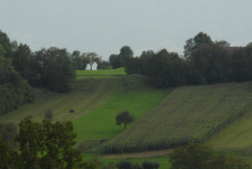 Lamen, Pren, Feltre, Parco Nazionale Dolomiti Bellunesi