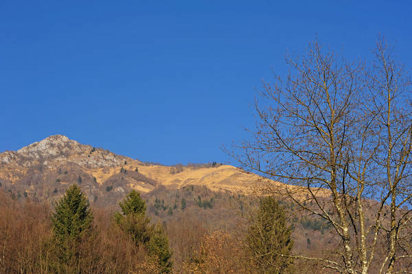 Arson, Lasen, San Mauro