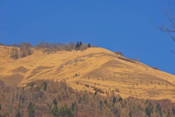 Arson, Lasen, San Mauro