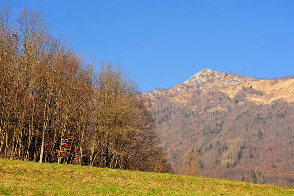 Arson, Lasen, San Mauro