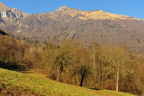 Arson, Lasen, San Mauro