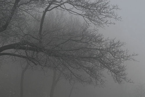 Inverno al Santuario Vittore e Corona