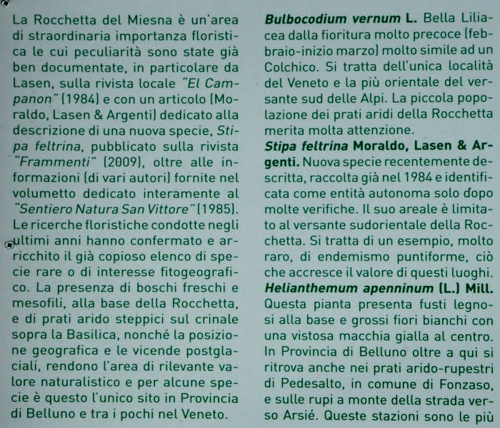 Sentiero Natura San Vittore - Feltre