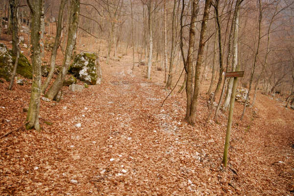 Cergnai Campel, chiesetta di San Mauro in Monte di Val Scura