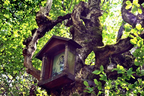 escursione in Val Canzoi per Orsera, forcella San Mauro, Al Pos, Montagne