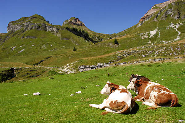 Piani Eterni, Dolomiti Bellunesi