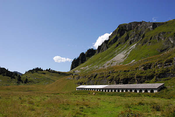 Piani Eterni, Dolomiti Bellunesi