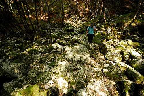 Sentiero Natura Val Canzoi - Parco Nazionale Dolomiti Bellunesi