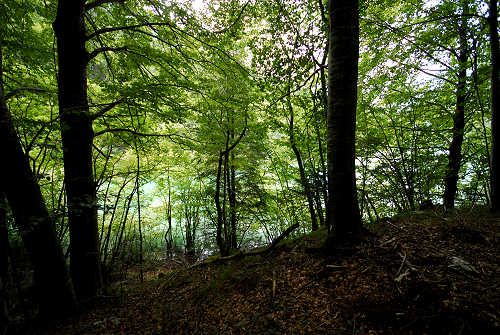 Sentiero Natura Val Canzoi - Parco Nazionale Dolomiti Bellunesi