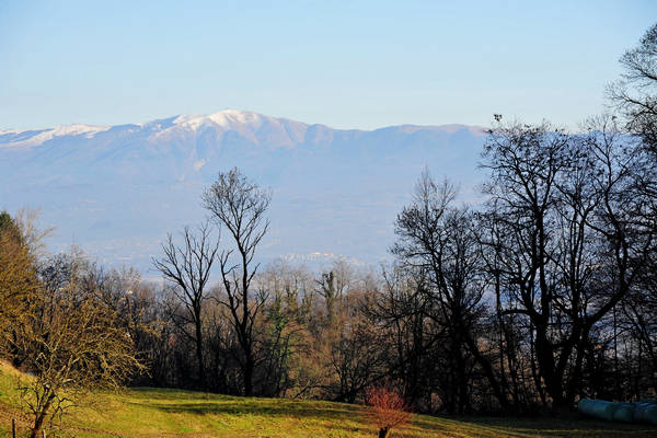 Arson, Lasen, San Mauro