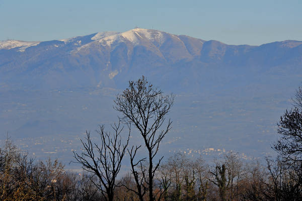 Arson, Lasen, San Mauro