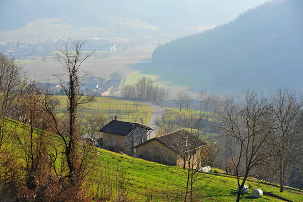 Arson, Lasen, San Mauro