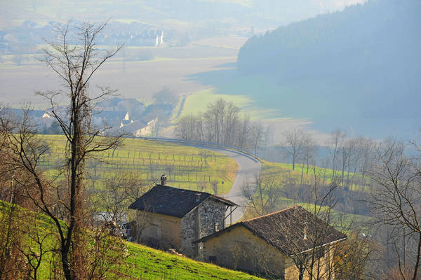 Arson, Lasen, San Mauro