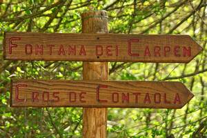 chiesetat eremo San Mauro in Monte ad Arson di Feltre