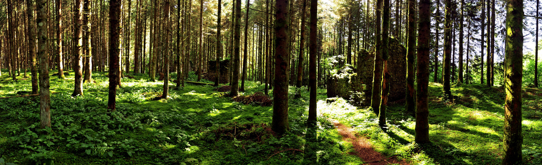 Pian dei Violini in Val San Martin a Vignui di Feltre