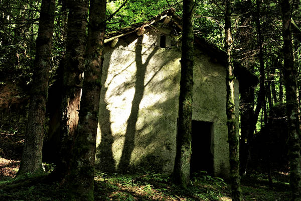 Pian dei Violini in Val San Martin Vignui di Feltre, Parco Nazionale Dolomiti Bellunesi
