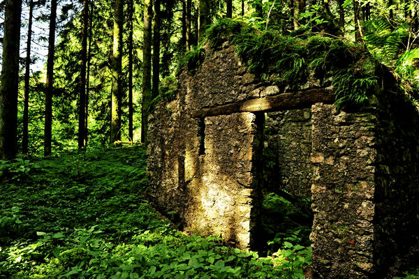 Pian dei Violini in Val San Martin Vignui di Feltre, Parco Nazionale Dolomiti Bellunesi
