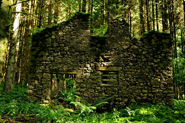 Pian dei Violini in Val San Martin Vignui di Feltre, Parco Nazionale Dolomiti Bellunesi