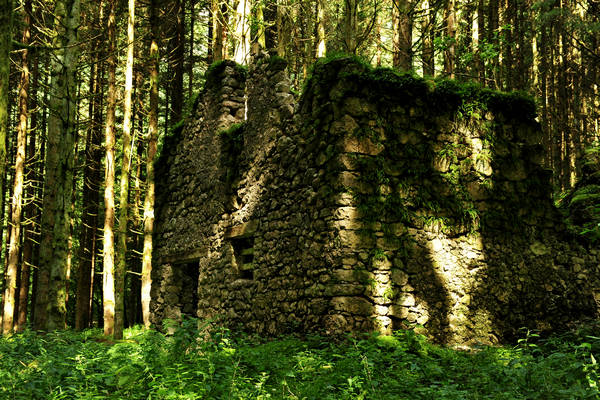 Pian dei Violini in Val San Martin Vignui di Feltre, Parco Nazionale Dolomiti Bellunesi