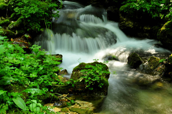 Pian dei Violini in Val San Martin Vignui di Feltre, Parco Nazionale Dolomiti Bellunesi