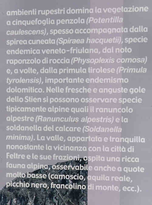 Valle di San Martino, Vignui, Vette Feltrine, Parco Nazionale Dolomiti Bellunesi