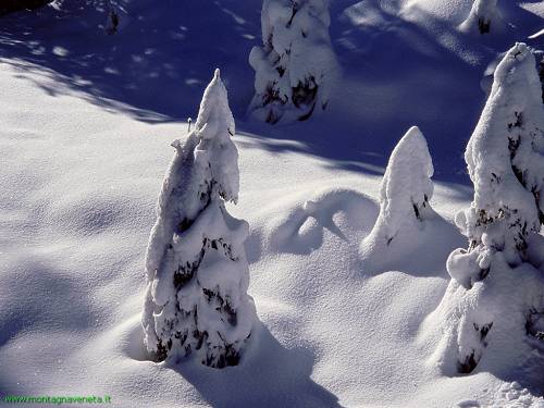 neve sui boschi dell'Altipiano di Asiago