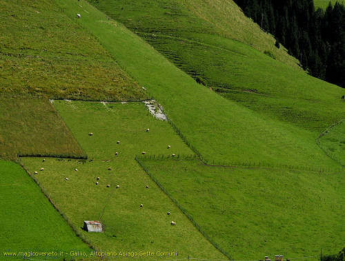 Gallio, Altopiano Asiago Sette Comuni