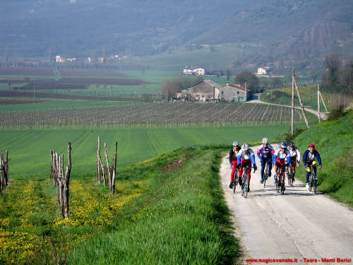 Toara - Monti Berici