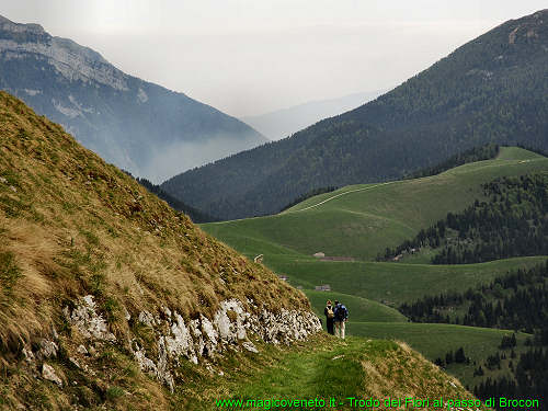 Trodo dei Fiori, passo Brocon