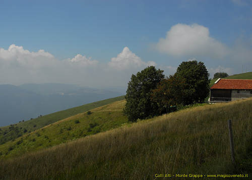 Colli Alti nel Monte Grappa