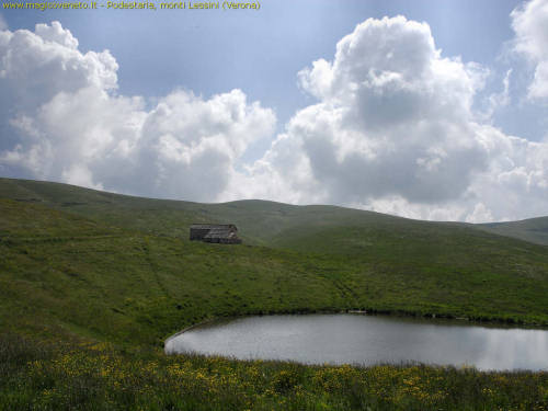 pascoli della Podestaria, Lessini
