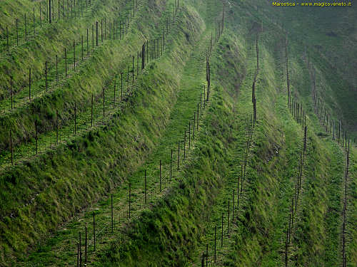Colle San Benedetto a Marostica