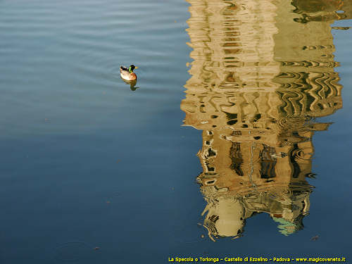 La Specola o Torlonga, Castello di Ezzelino - Padova