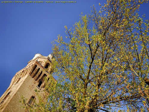 La Specola o Torlonga, Castello di Ezzelino - Padova