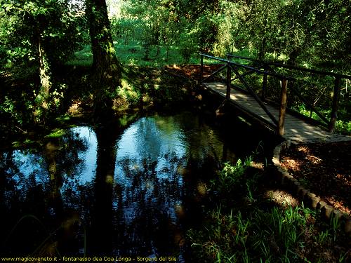 Fontanasso dea Coa Longa - Sorgenti del Sile