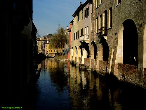 Treviso