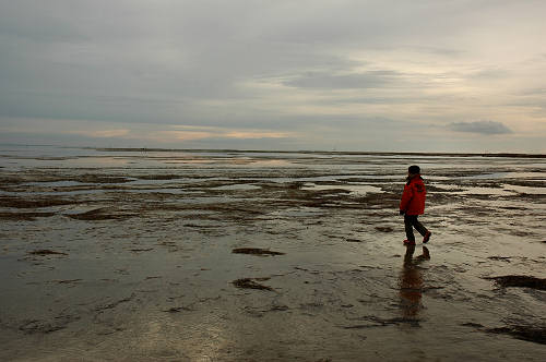 Grado, laguna e mare