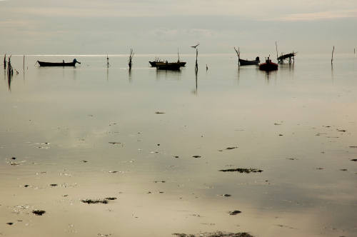 Grado, laguna e mare