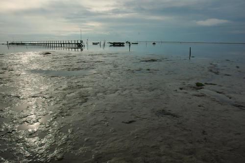 Grado, laguna e mare