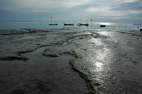 Grado, laguna e mare