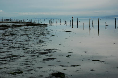 Grado, laguna e mare