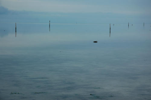 Grado, laguna e mare