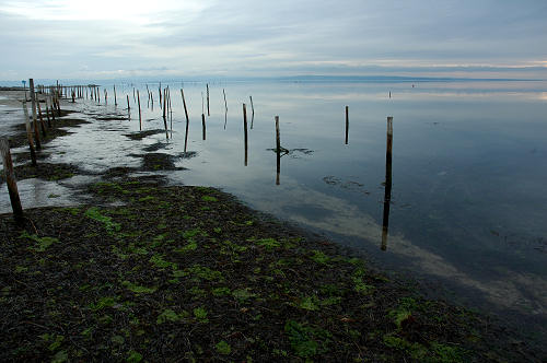 Grado, laguna e mare