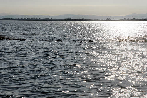 Santuario di Barbana a Grado