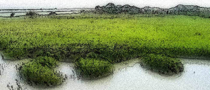 Riserva Naturale Regionale Foce Isonzo