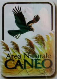 oasi Caneo a punta Sdobba di Fossalon di Grado