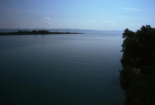 oasi Caneo a punta Sdobba di Fossalon di Grado