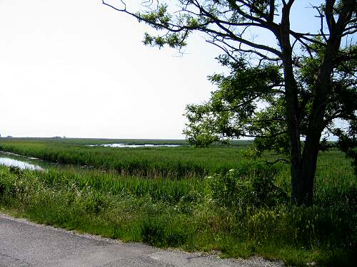 oasi Caneo a punta Sdobba di Fossalon di Grado